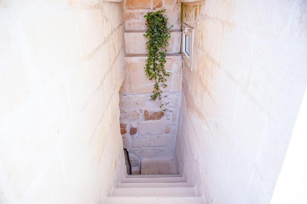 オーリアBorgo Antico-Centro Storico Casa Ventosaアパートメント エクステリア 写真
